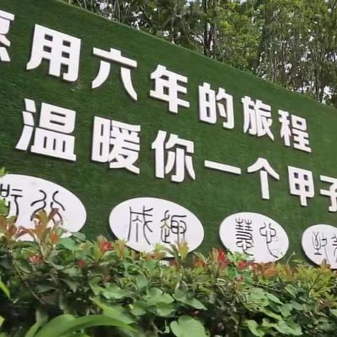 追求卓越，绽放精彩——银杏南校数学教师汇报课展示