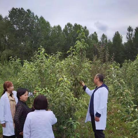 喜报！尖扎县五个农产品通过国家绿色食品认证