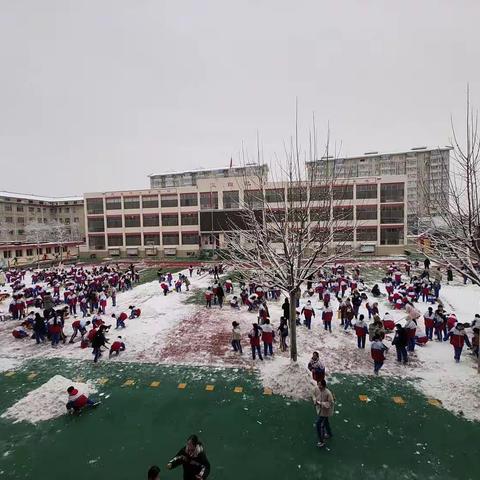 以雪为令，闻雪而动