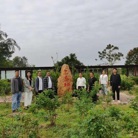 不忘初心、牢记使命！鹤山坡村委会在新的征程上全面推动乡村振兴！