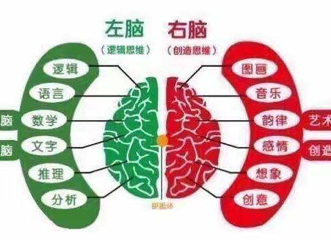 大风车宏盛昌园——苗苗一班右脑公开课