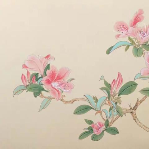 完成工笔画小品:杜鹃花(2022-7-16)