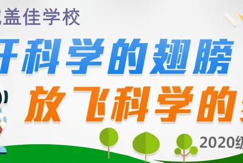 科学:圆珠笔的秘密实验报告