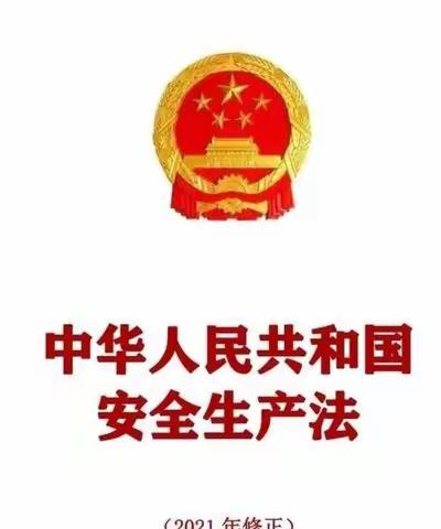 学习安全生产法 树立牢固安全观-泉河头镇西佑国寺小学