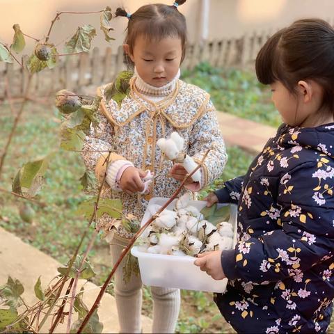 花开如雪海，人间免寒穷