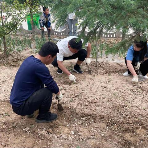 劳动砺心志 实践促成长——三湾小学开展劳动实践教育活动