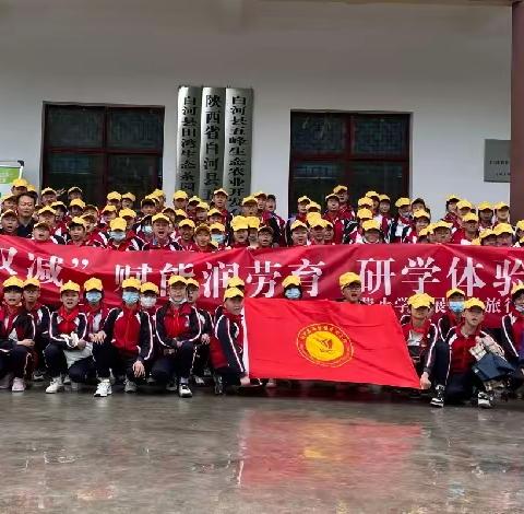 【快乐于行，研学于心】西营小学六年级组研学旅行劳动教育实践活动