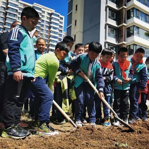 2022年奥林学校劳动教育