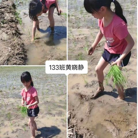 2022年甘圩小学五一劳动节“红领巾爱劳动，争做生活小达人”劳动教育实践活动