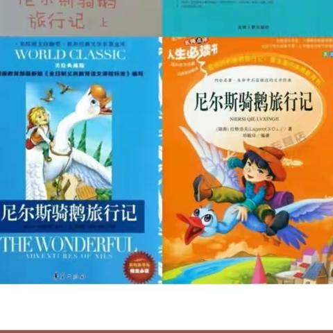 一起走进奇幻之旅 —— 科左中旗实验小学六年二班《尼尔斯骑鹅旅行记》读书交流会