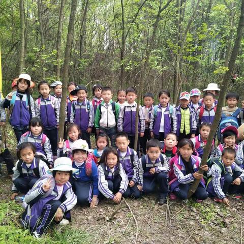 荡漾在春天的森林里……