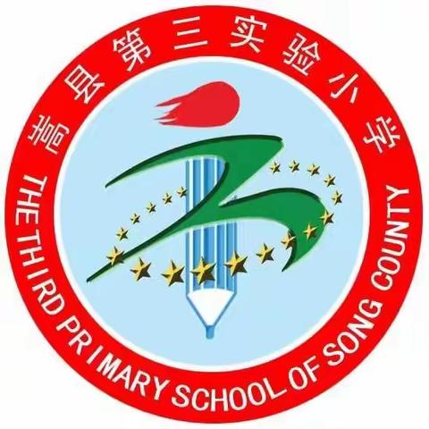 【榜样引领】魅力啦啦，舞动青春——嵩县第三实验小学张辰旭老师(十五)