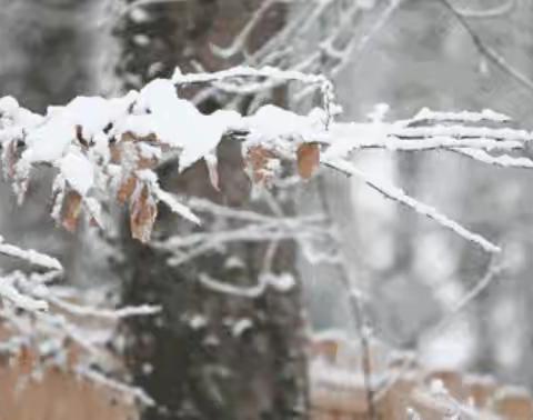 笔落惊风雪，小城秀风华——林东第三小学六年二班咏雪诗集