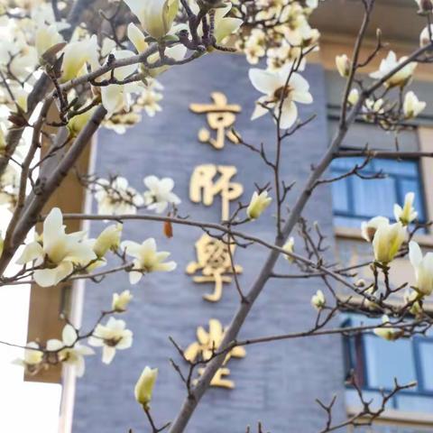 博学笃志行稳致远，北师启航树人世范，——龙岗区卓越校（园）长培养工程首期副校长启航班学员开启北师大研学之旅