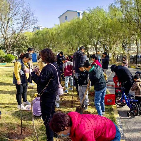 信苑社区恒大名都辖区各小区开展植树活动