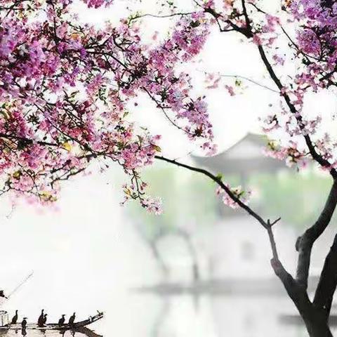 初春最美三月天，共谱教研新美篇——侯庙镇苗口小学语文教研活动