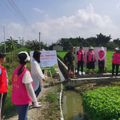 【铜盂镇】“巾帼科技助农直通车”活动