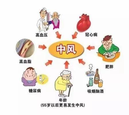 脑卒中患者饮食知多少