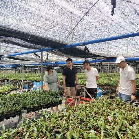 【能力提升建设年】乌烈镇财政所开展抽查巡查工作