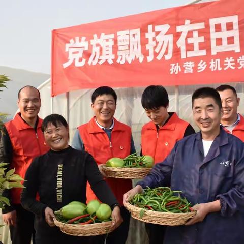 【醉美孙营】孙营乡弘扬时代新风 助力乡村振兴