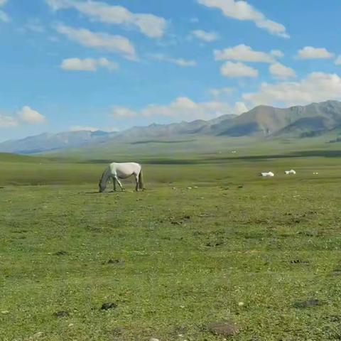 兄弟姐妹南北相聚新疆自由行（七）那拉提草原