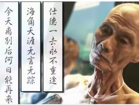 今生离别后来世再相会， 这位老人来荡口古镇用纹身记录了生命的本色