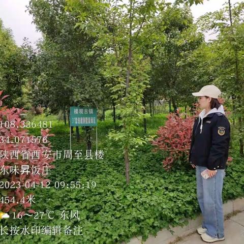 2023年4月12日集贤镇秦岭北麓网格化工作纪实