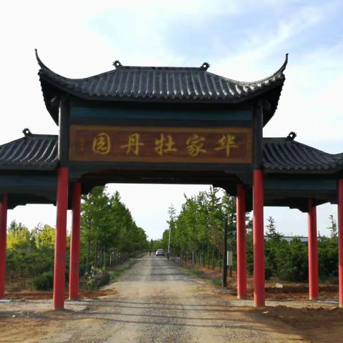 华家牡丹园位于金普新区华家街道华东村，该园始建于2009年，占地面积约40万平，牡丹品种200余个，10万余株。