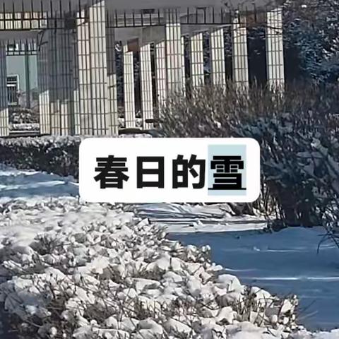 三月的雪