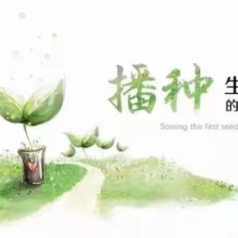 【班级动态】《小番茄  大世界》 ——开发区杨山路幼儿园小二班种植活动