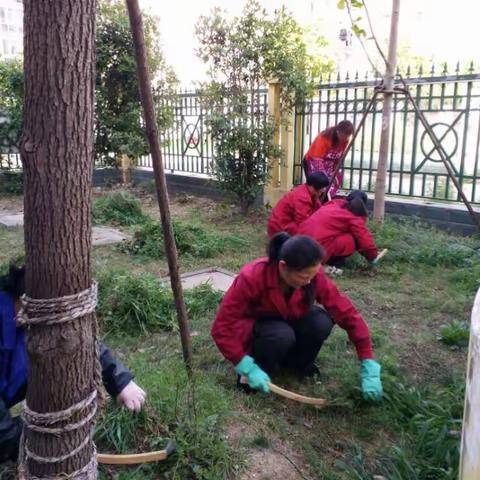 合肥市大兴幼儿园：保育老师齐动手     美化环境大家忙