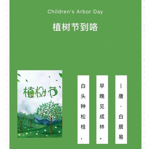宅家添新绿 —中三班