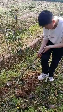 八年级三班2022年植树节