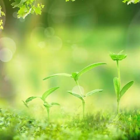 “线上总结提升，线下衔接推进”——神山镇中心小学线上教学总结