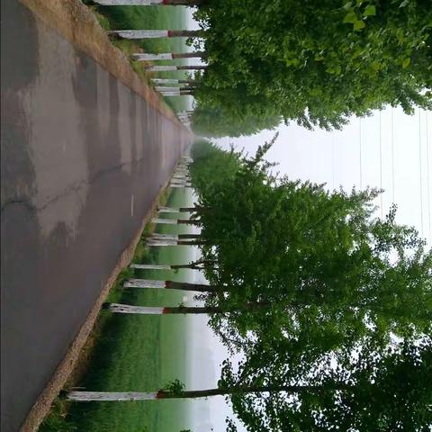 静夜细雨的美篇