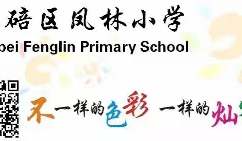 幸福童年 “暑”你精彩——献礼二十大 七彩凤林娃在行动