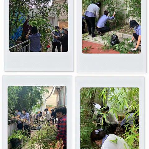 河北中兴冀能电力发展有限公司保定分公司雄安服务部手机报：第137期