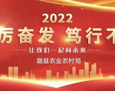 “疫”不容辞稳保供 春耕备播助丰收 ——陇县农业农村系统扎实开展“六联六保”抗疫助农行动掠影