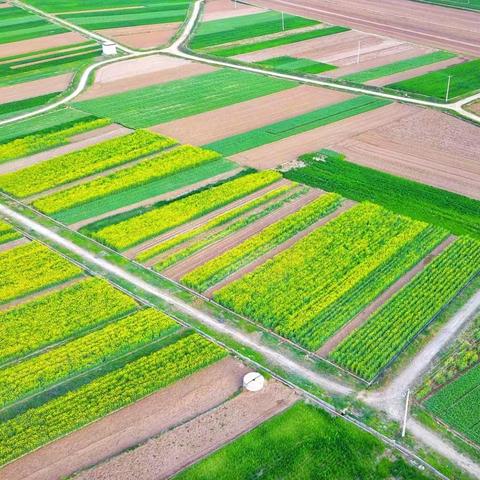 抓早动快掀起新高潮  打赢夏粮丰收头一仗——陇县春季农业生产现场会顺利召开