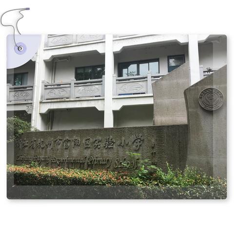 踏花归来思蹄香，滴水石穿亦非凡  ——记林茂名班主任工作室杭州访学第四天