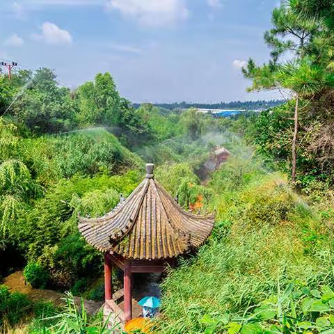 山东亲情沂蒙旅游集团