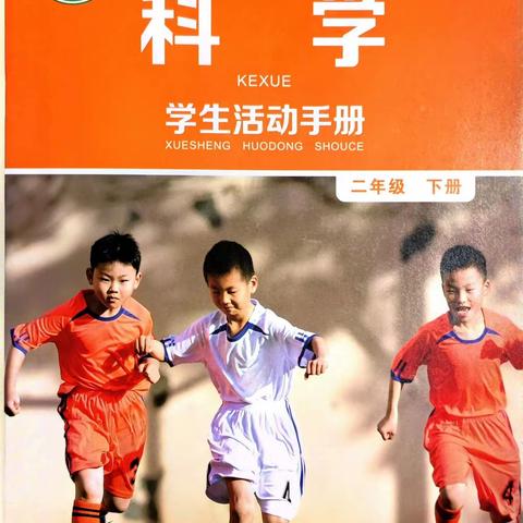 二年级下册科学活动手册