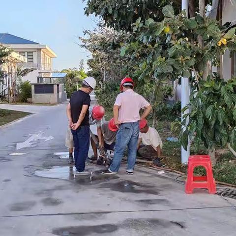 社区第七次“爱岛日”志愿者活动