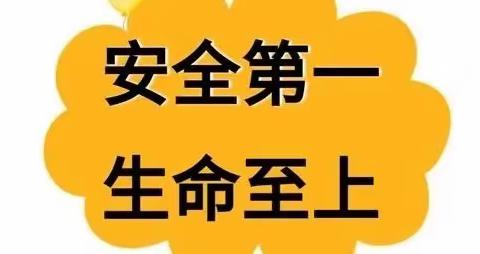 【全国中小学生安全教育日】城东镇中心小学防溺水和交通安全宣传教育（2022年春/3）