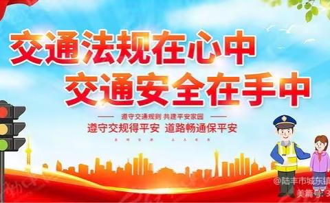 城东镇中心小学与桥冲镇中心小学举办交通安全及校车安全管理培训讲座