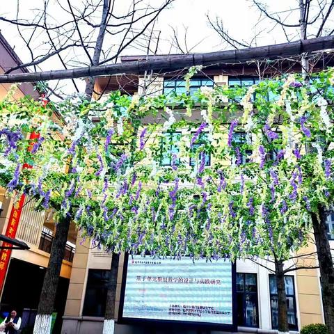 美丽遇见 笃行致远——记杭州市育才实验小学跟岗实习培训