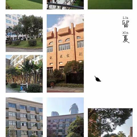 他山之石 可以攻玉——赴宁波学校考察总结