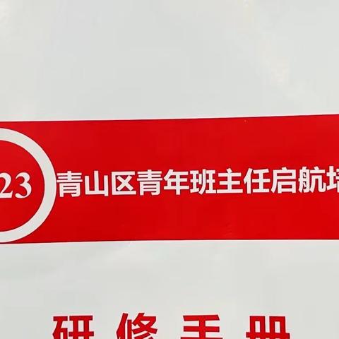 山城热情似火，培训润心无声——记2023年青山区青年班主任启航培训