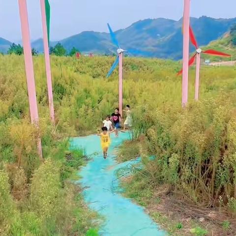 刘冠辰的暑假生活