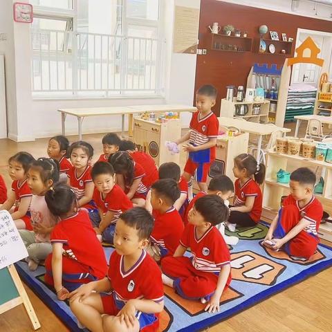 睿德姆幼儿园（金信园）208中班一日活动总结6月12日星期一